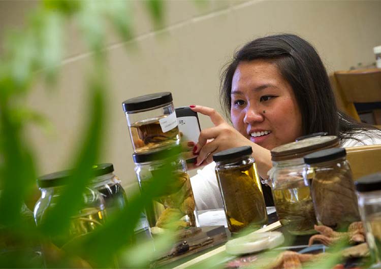 Bachelor of Science in Environmental Science