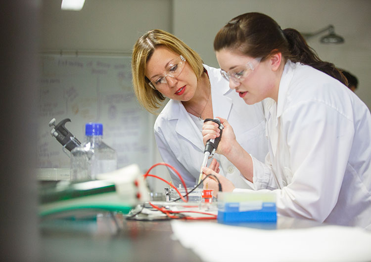 Bachelor of Arts/Bachelor of Science in Chemistry