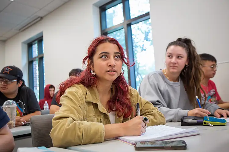 Modern Languages – Spanish Education