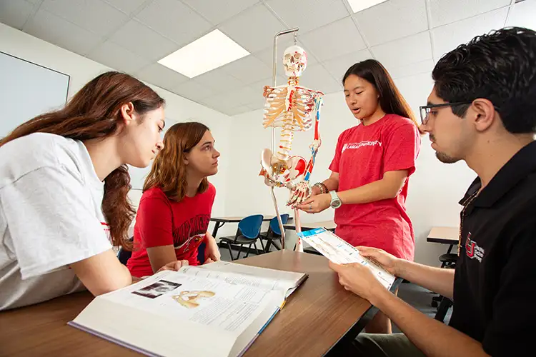 Bachelor of Science in Kinesiology – Health Sciences