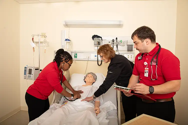 Bachelor's Degree in Public Health – Nursing