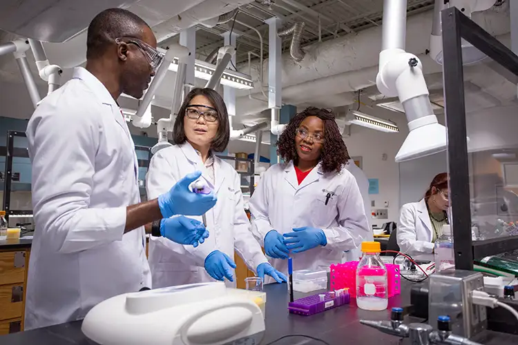 Bachelor of Science in Medical Laboratory Sciences – Clinical