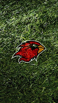Grass Cardinal 640 x 1136