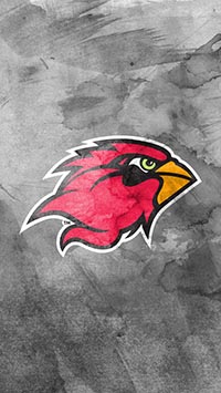 Watercolor Cardinal 640 x 1136