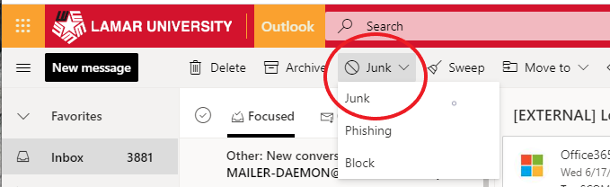Spam_Junk