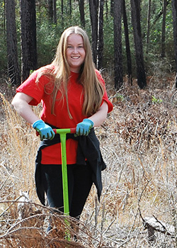 Longleaf pine project