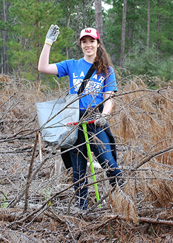 longleaf pine project