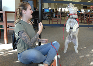 Students with therapy dogs