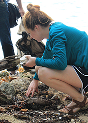 Helping clean the beach