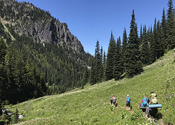 Hiking in Rainier