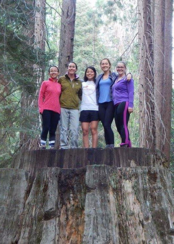 Five students on large tree stump