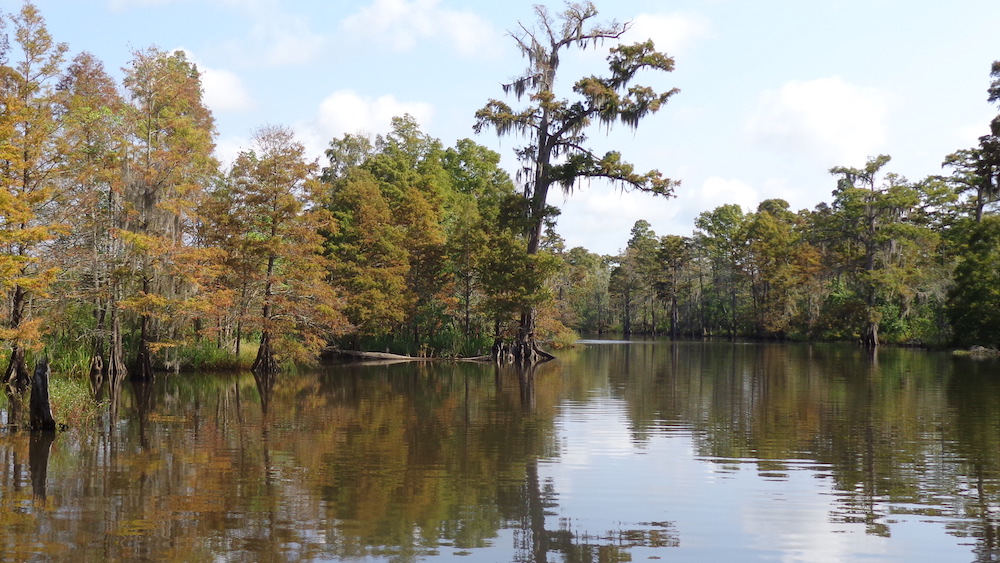 View of the Neches River from a boat ride tour