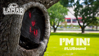 A partially hollowed out tree with "I Heart LU" spray painted in the hole with a lush green background
