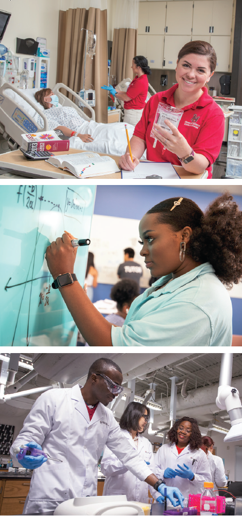 explore majors, students in various class, labs, hospital room experience