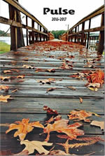 Pulse 2016-2017