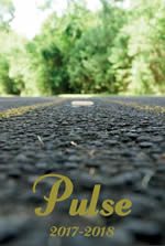 Pulse 2017-2018