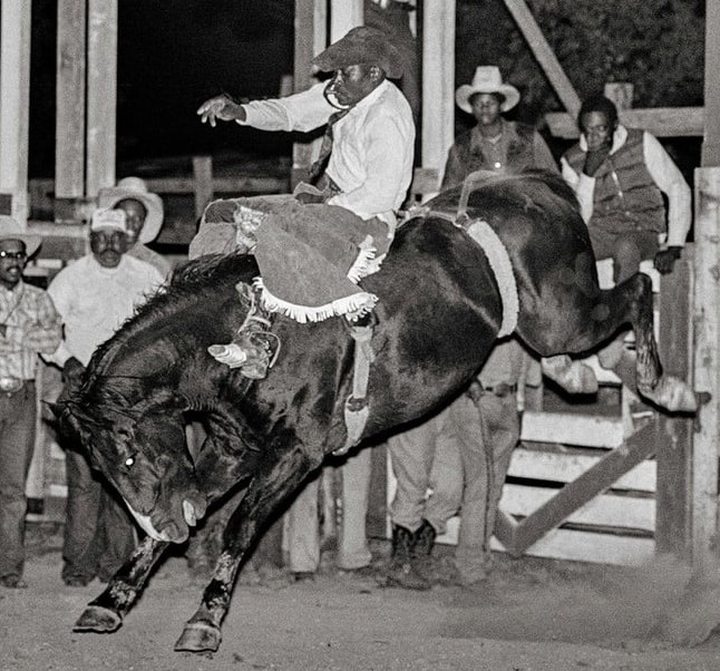 rodeo