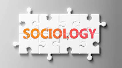 Sociology.jpg
