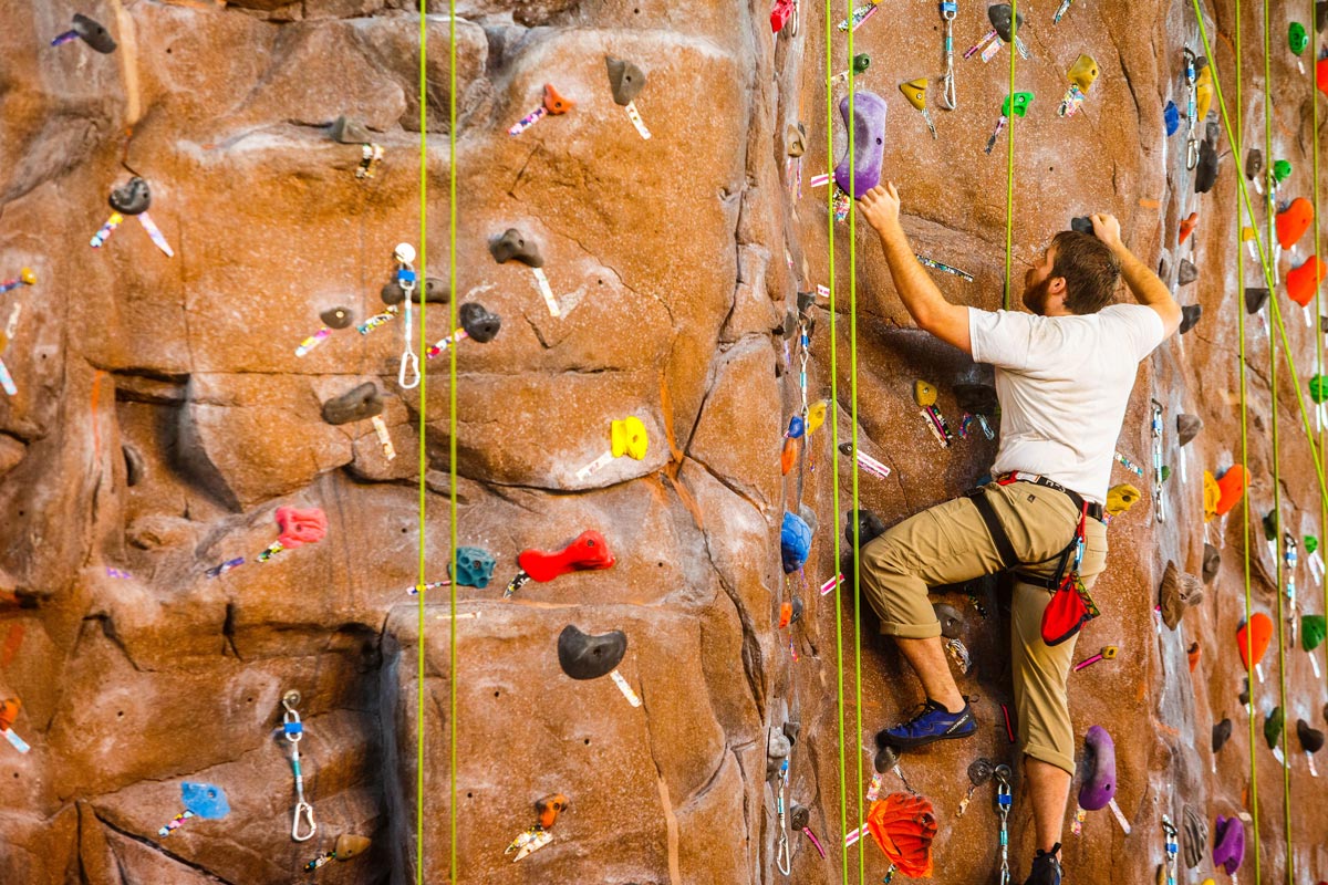 Are One of These Student Organizations Your Perfect Match? Lamar