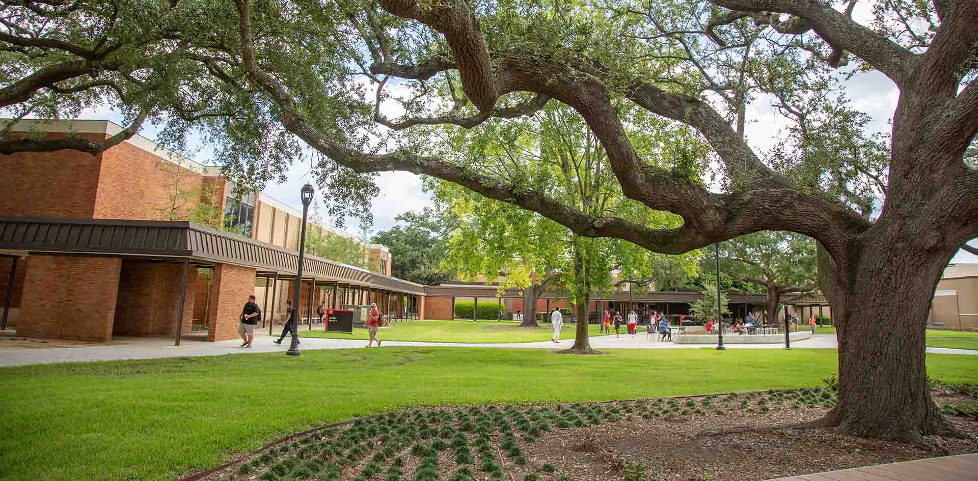 LU Moment: Tackling Tinnitus | S2 Ep.10