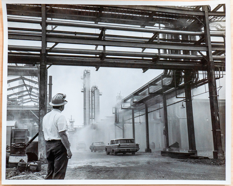 dc setx plant