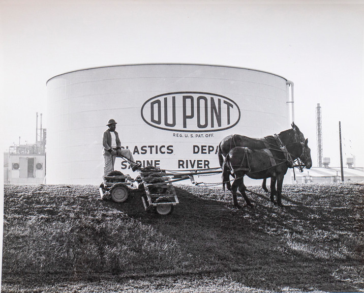 dc Dupont mowing the grass