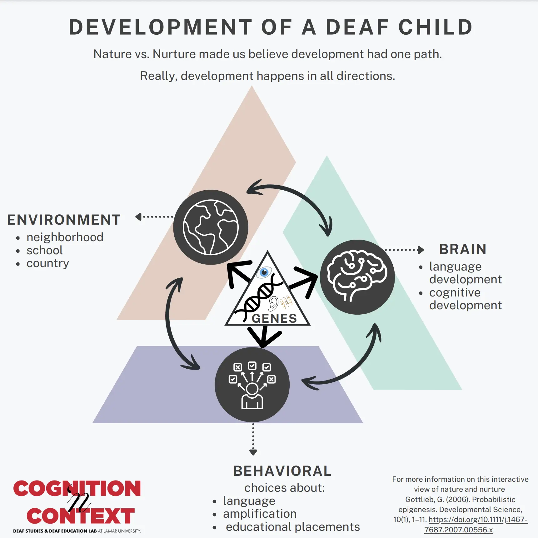 Triangular flowchart showing development of a deaf child happens in all directions between genetics, environment, the brain, and behaviors. Detailed explanation in text on page.
