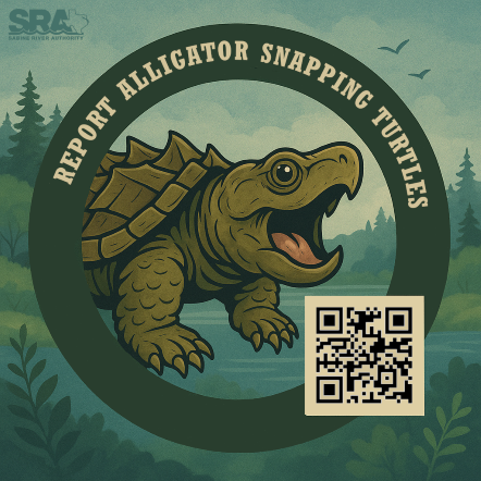 snapping turtle survey