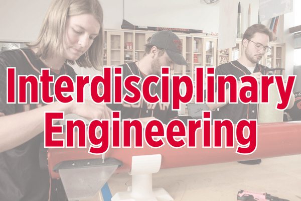 Interdisciplinary Engineering Priority Research