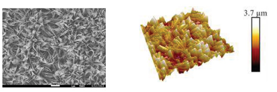 Scanning electron micrographs of a nanostructured copper surface & atomic force microscope image of a nanostructured copper surface