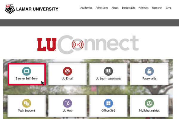 lu connect homepage 