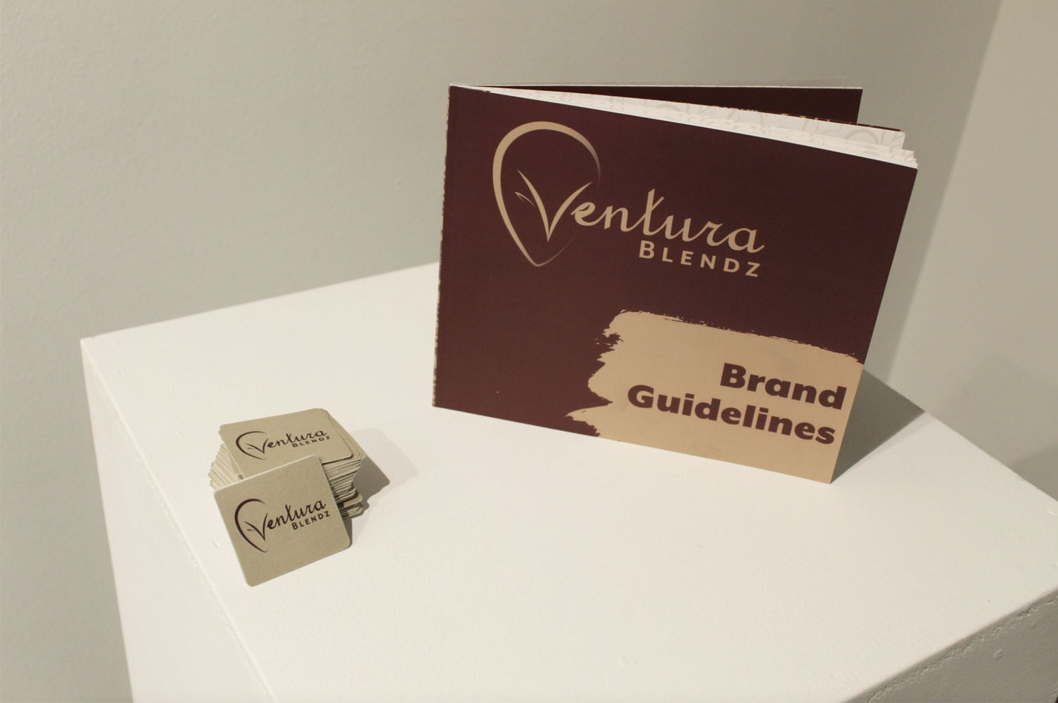 A stack of Ventura Blendz cards and a "Brand Guidelines" booklet displayed on a white pedestal.