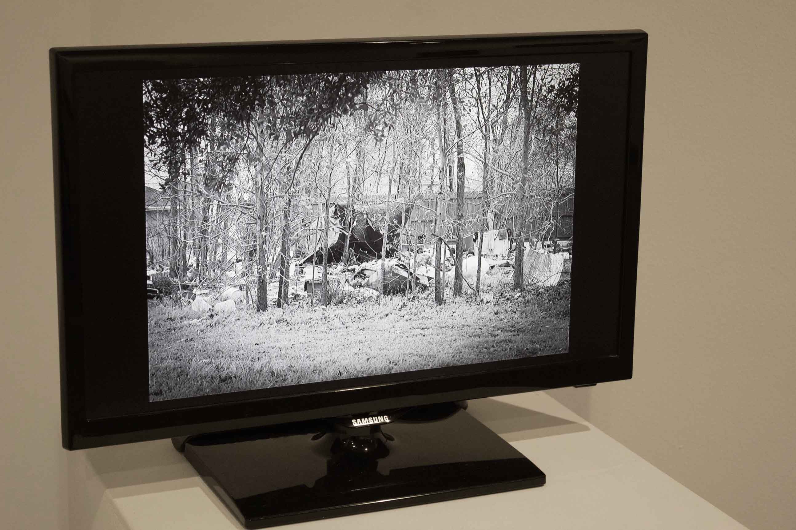 acute-homelessness-2.jpg   Image Breakdown Long Description:  The image shows a flat-screen Samsung television displaying a black and white photograph. The photograph depicts a natural scene with tall, leafless trees occupying the middle ground. 