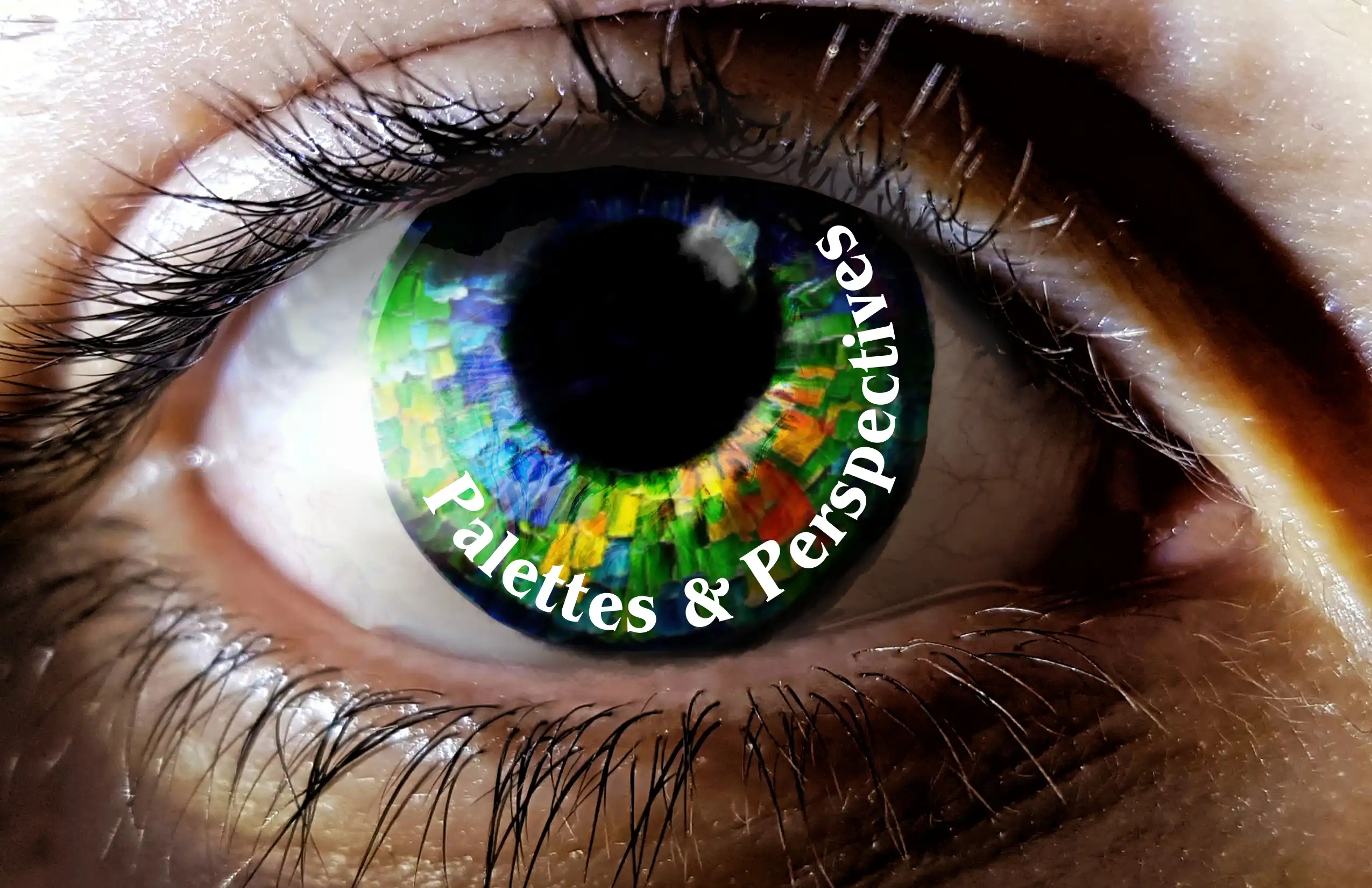 closeup of eye displaying title Palettes and Perspectives