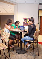 Students studying in the lounge
