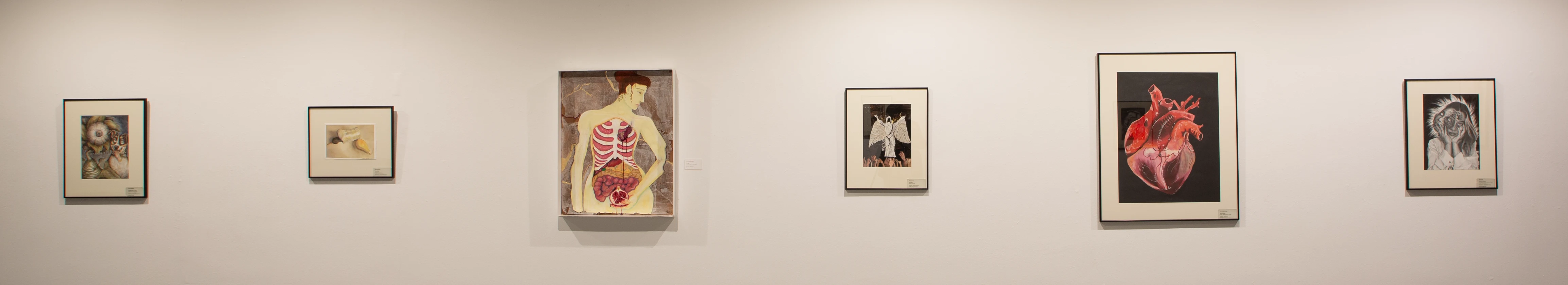 Protege 2024 - various art projects hanging on wall