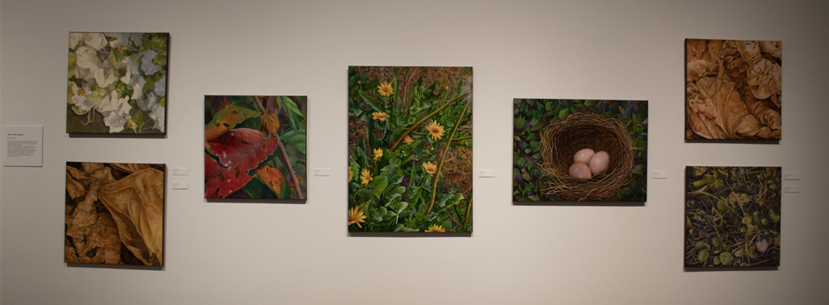 Gallery wall featuring seven nature-themed artworks, including flowers, leaves, and a nest with eggs.