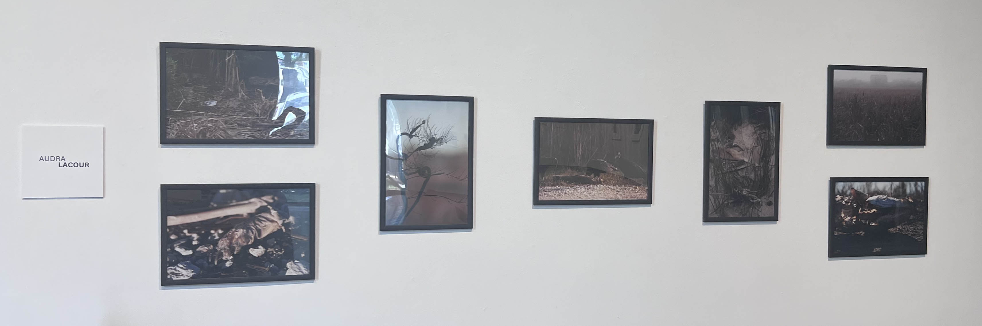 Framed photographs on a white wall, with a plaque reading "AUDRA LACOUR."