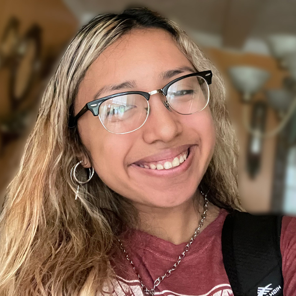 hsa-line-ydi-recinos