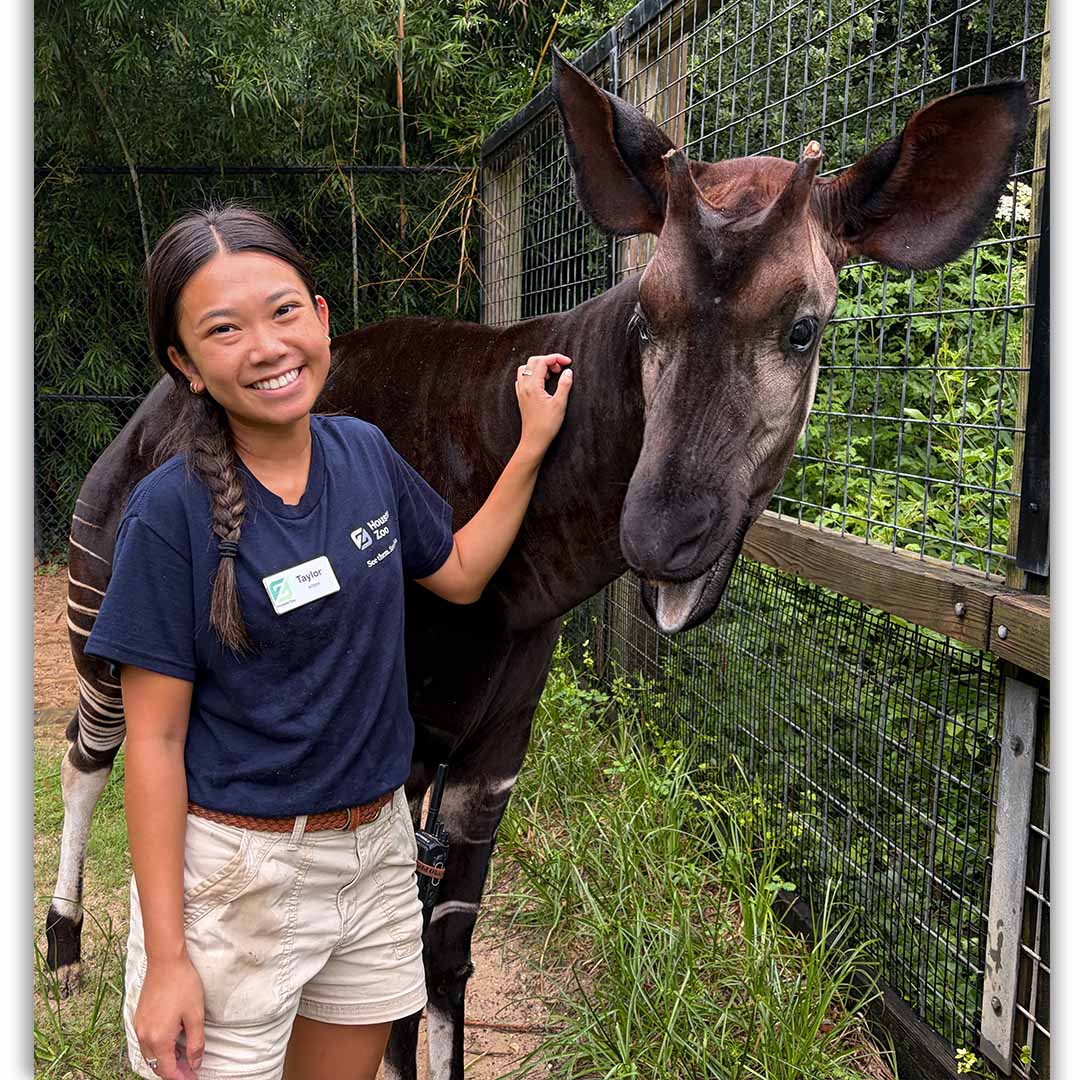 Zoo Operations Intern Taylor Bui