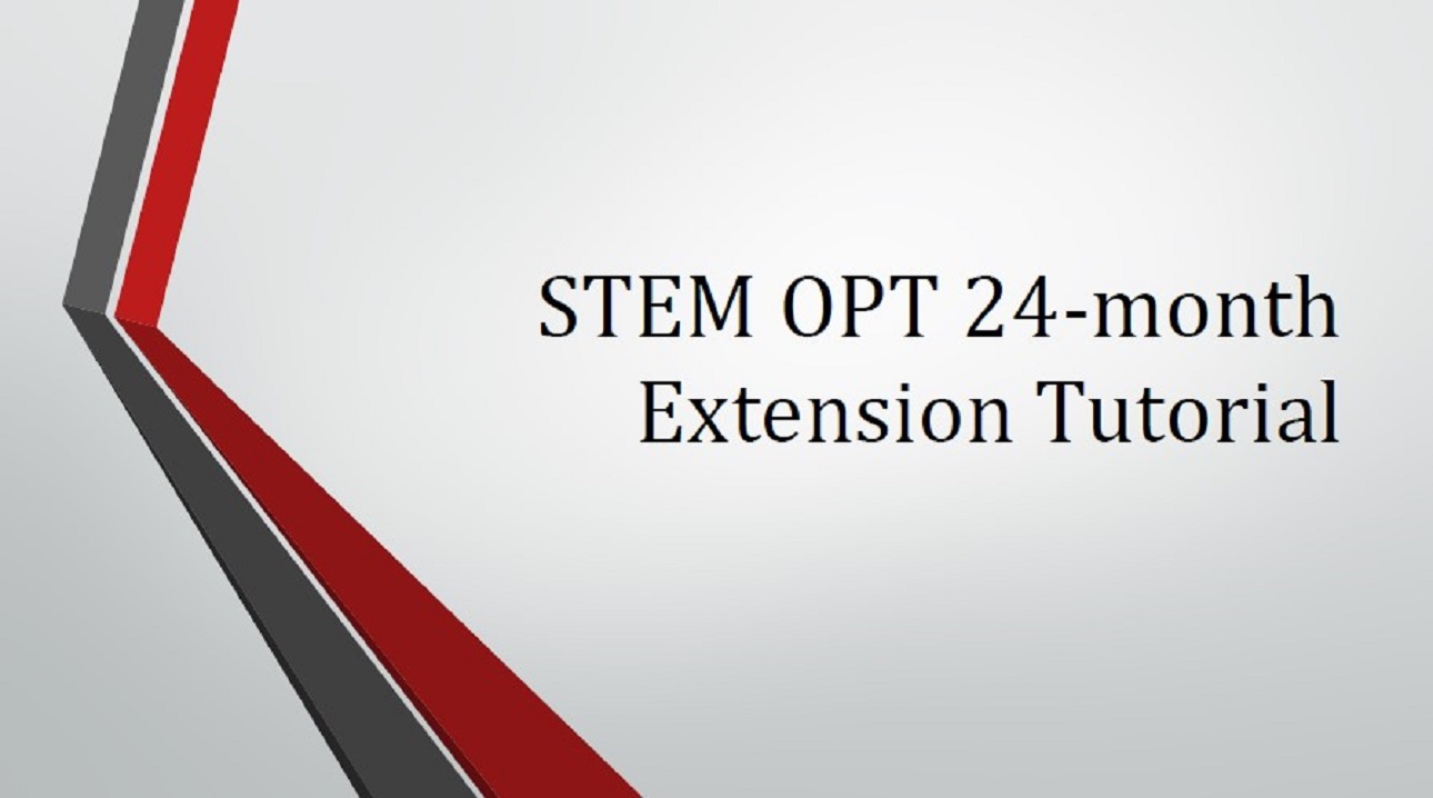 STEM OPT tutotial thumbnail