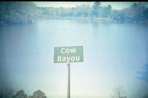 Cow Bayou