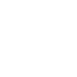 itunes icon