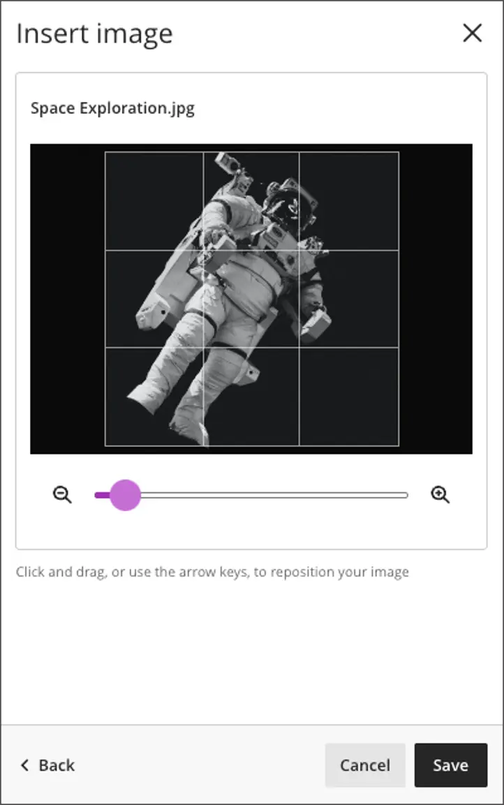 This screenshot shows the desired image with an adjustable grid for modifying the image.