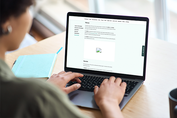Demystifying Accessibility: Alt Text and Image Descriptions