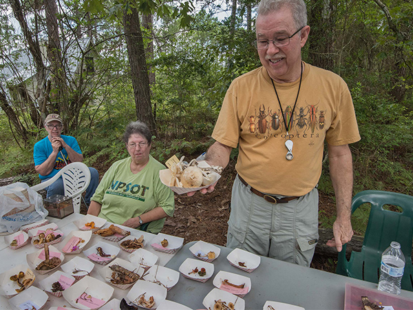 LU Special Collections awarded Rescuing Texas History Grant