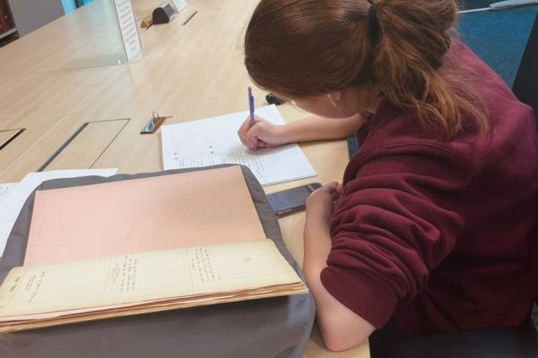 Allison Harmon Summer Research