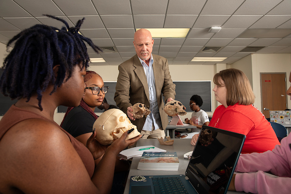 Lamar University launches applied history degree focused on real-world career skills