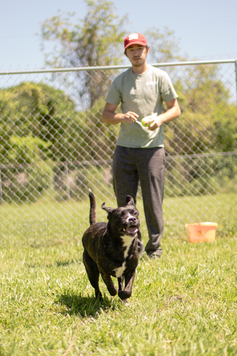 Corey Smith, lead kennel tech from Lumberton, plays with Marble the dog at the Humane Society of Southeast Texas, April 9, as a volunteer. UP photo by Noah Dawlearn