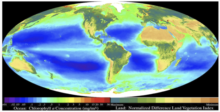 The Global Biosphere from Sea WiFs, compiled with a team including Compton Tucker, senior biospheric scientist for NASA/Goddard Space Flight Center, shows biological deserts in the oceans indicated by the dark blue areas. 